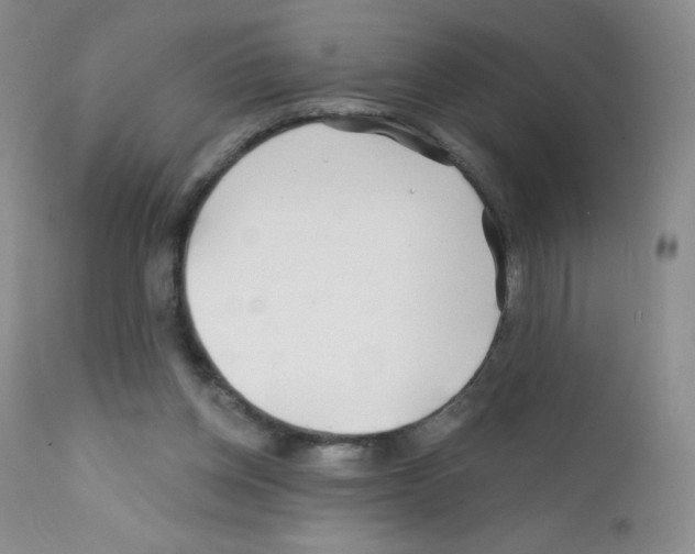 X0000111790158200909031206