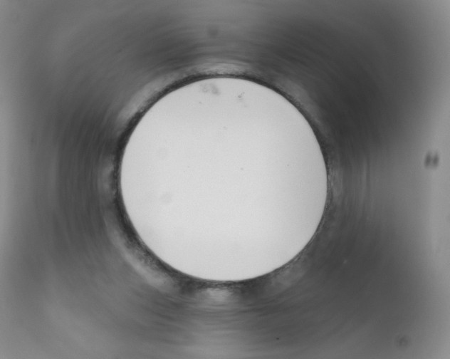 X0000111790159200909031206