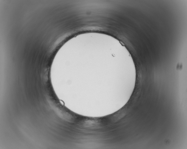 X0000111790160200909031206