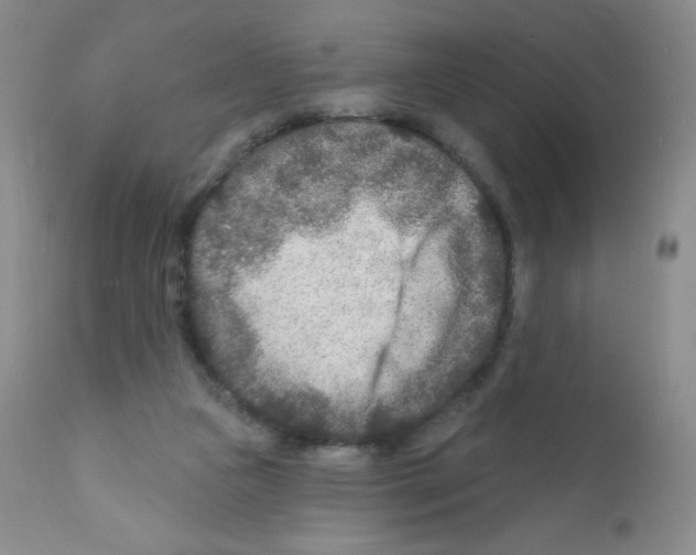 X0000111790161200909031206