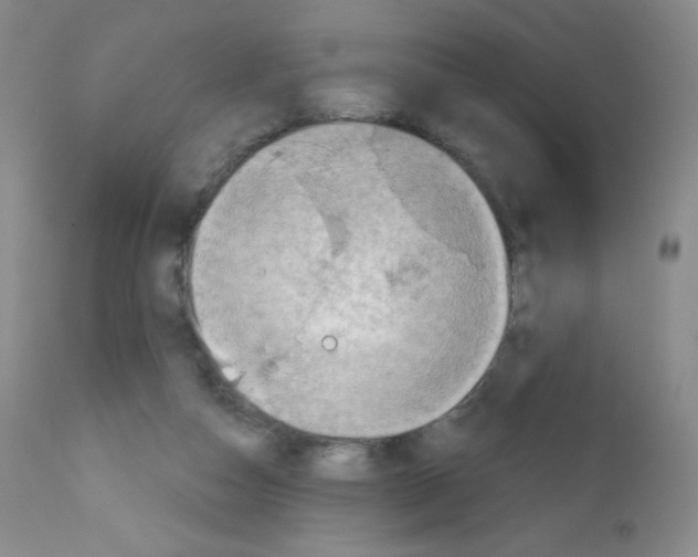 X0000111790162200909031206