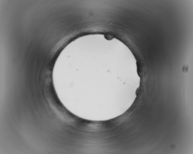 X0000111790164200909031206