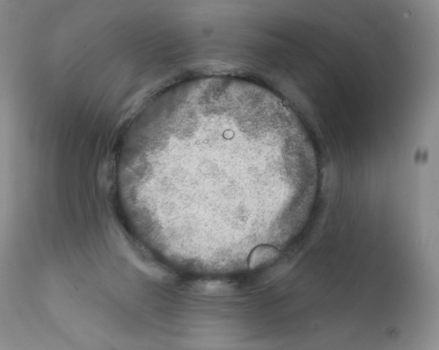 X0000111790165200909031206