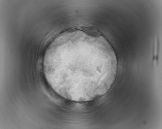 X0000111790166200909031206