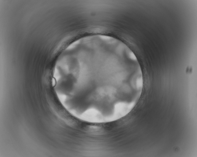 X0000111790167200909031206