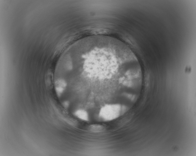 X0000111790169200909031206