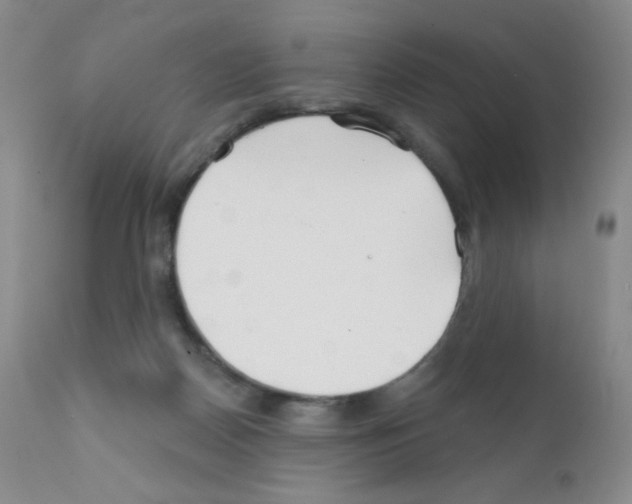 X0000111790170200909031206