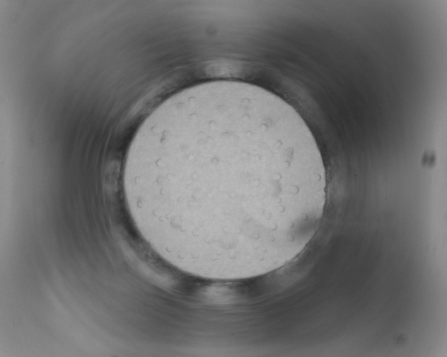 X0000111790171200909031206