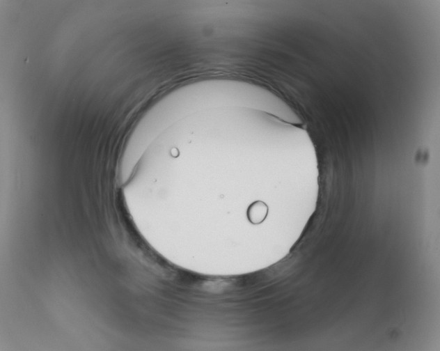 X0000111790172200909031206