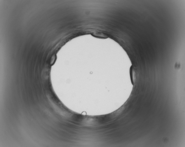 X0000111790174200909031206