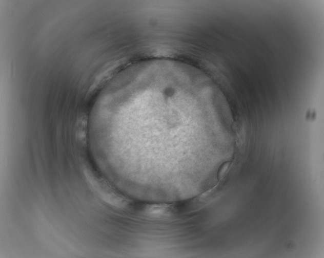 X0000111790175200909031206