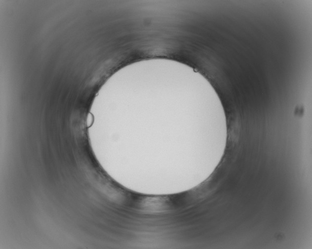 X0000111790179200909031206