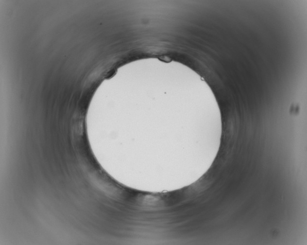 X0000111790180200909031206