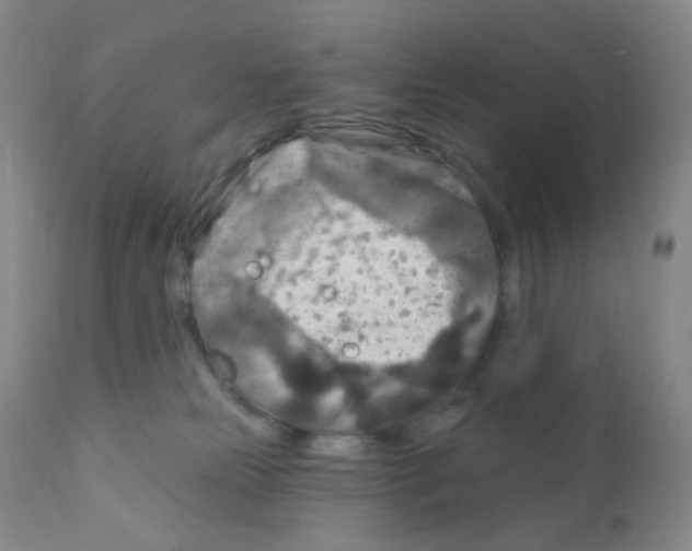 X0000111790181200909031206