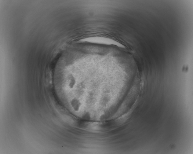 X0000111790182200909031206