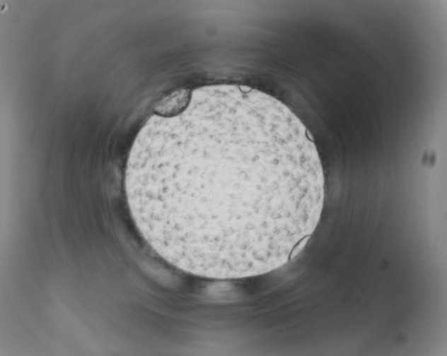 X0000111790183200909031206