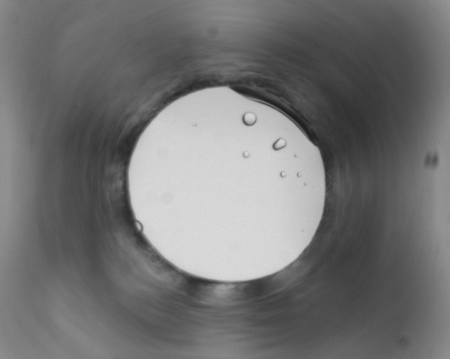 X0000111790184200909031206