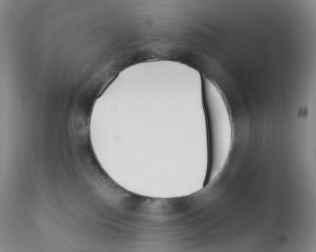 X0000111790186200909031207