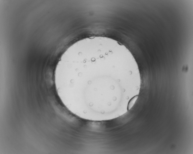 X0000111790187200909031207