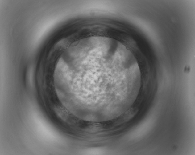 X0000111790189200909031207