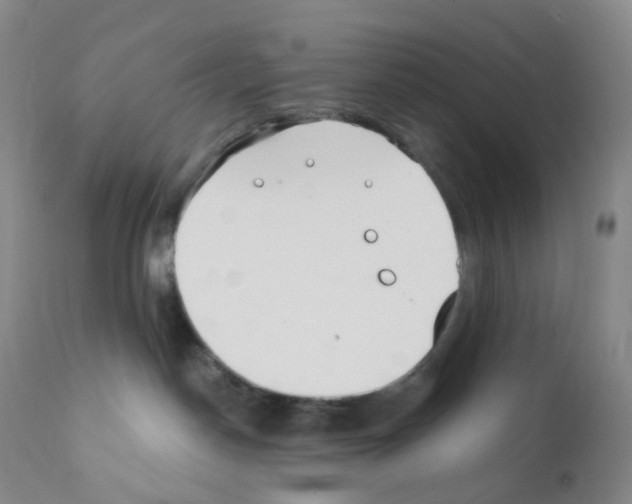 X0000111790190200909031207