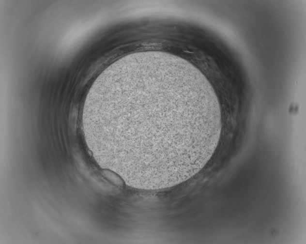 X0000111790194200909031206