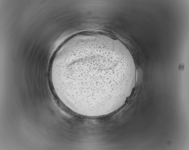 X0000111790195200909031206