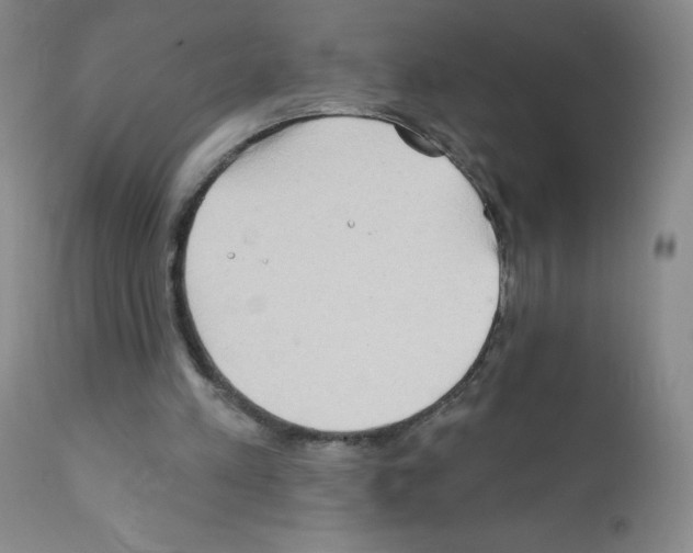 X0000111790197200909031206