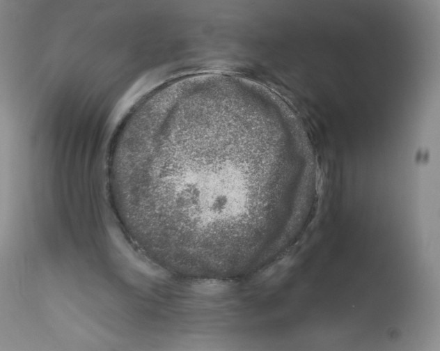 X0000111790198200909031206