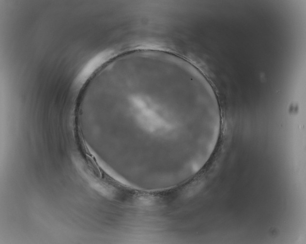 X0000111790199200909031206