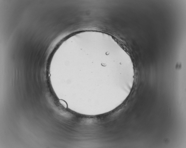 X0000111790200200909031206