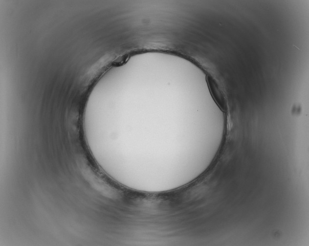 X0000111790201200909031206