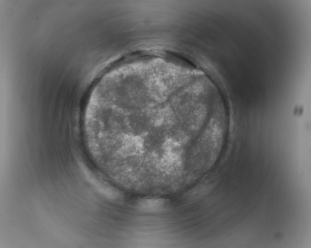 X0000111790202200909031206