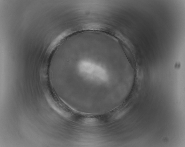 X0000111790203200909031206