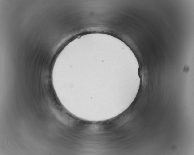 X0000111790204200909031206