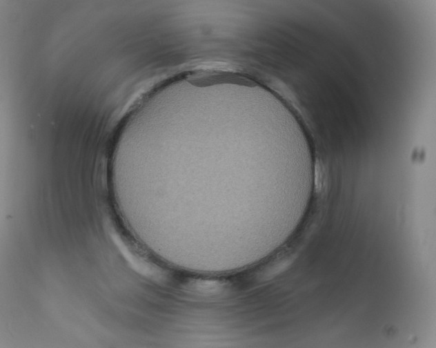 X0000111790205200909031206