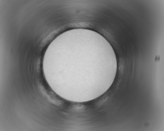 X0000111790206200909031206