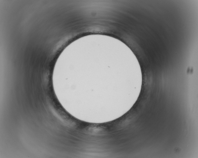 X0000111790208200909031206