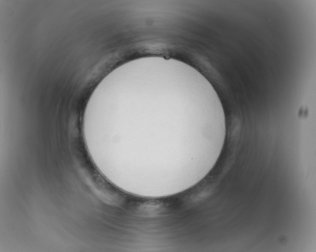 X0000111790213200909031205