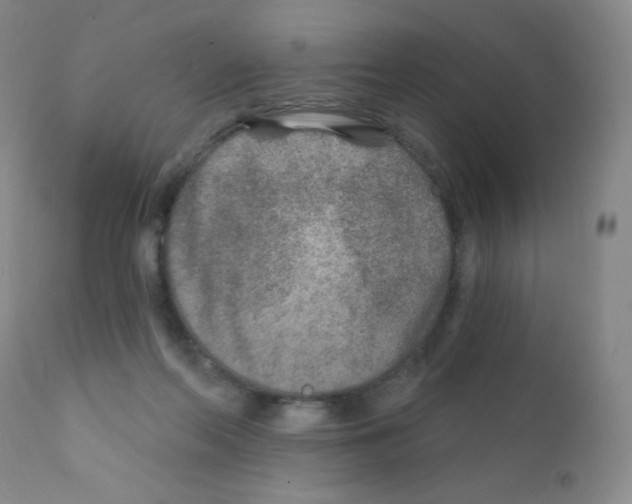 X0000111790214200909031205