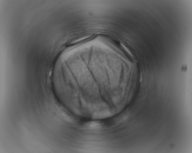 X0000111790219200909031205