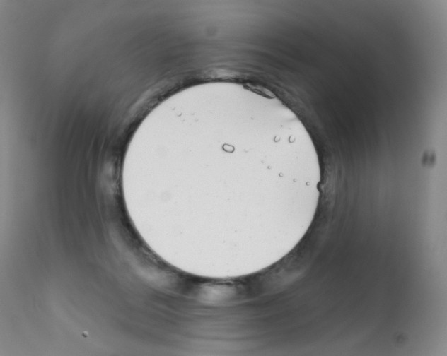 X0000111790220200909031205