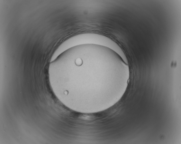 X0000111790221200909031205