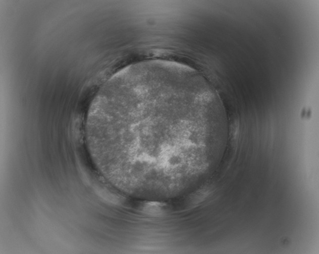 X0000111790222200909031205