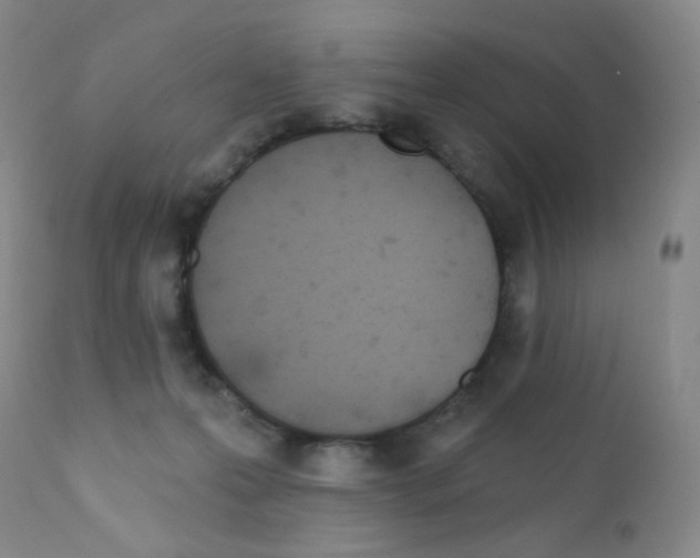 X0000111790223200909031205