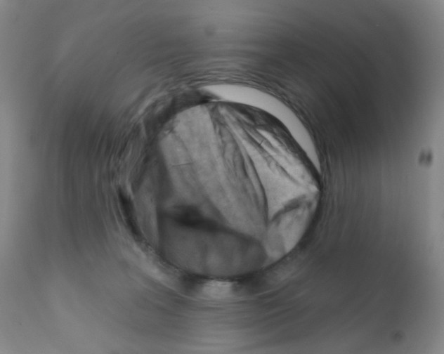 X0000111790227200909031205