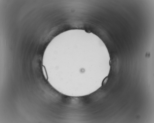 X0000111790229200909031205