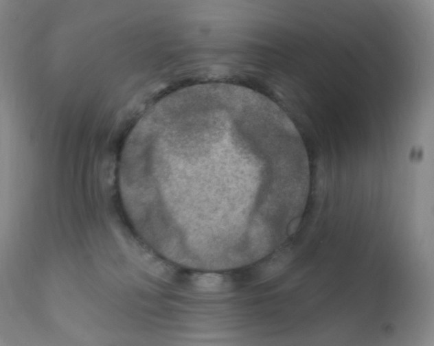 X0000111790230200909031205