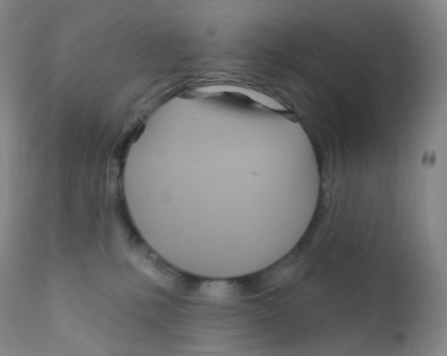 X0000111790231200909031205