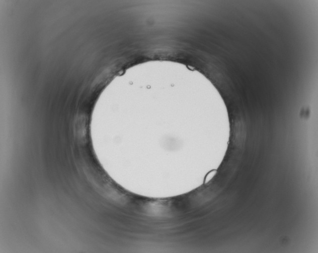 X0000111790232200909031205